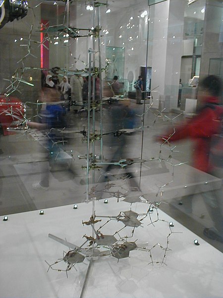 DNA Model Crick-Watson