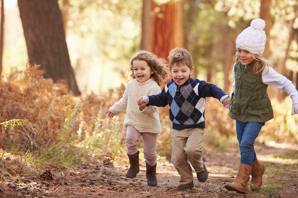 Group Of Young Children Running Along Path In Autumn Forest - Image(Monkey Business Images)s