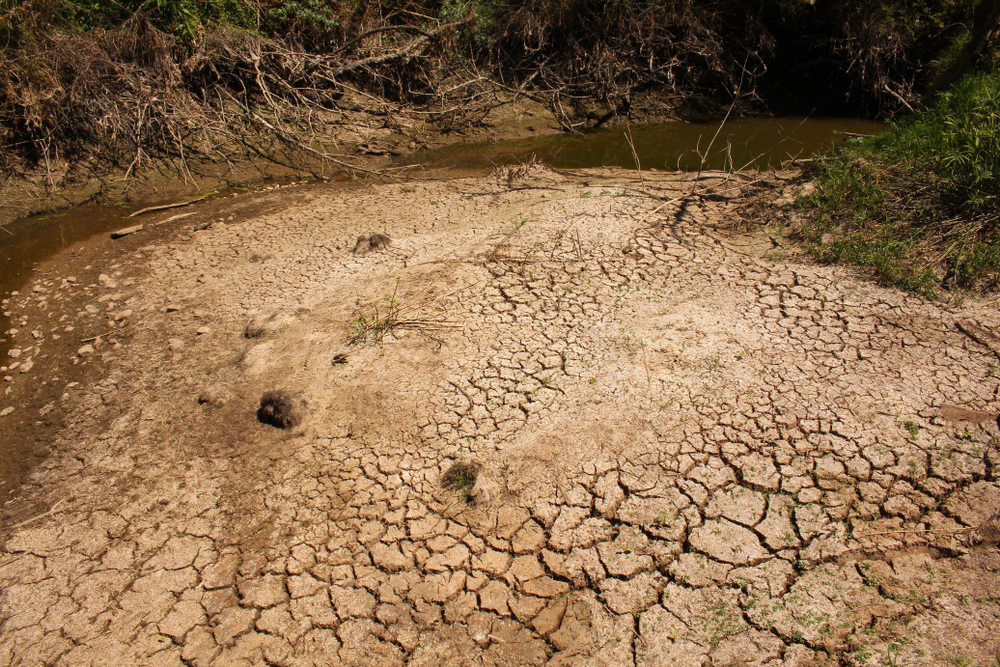 Hard dry cracked mud at the bottom of a stream that has dried up during a severe drought. - Image(Lynette Knott Rudman)s