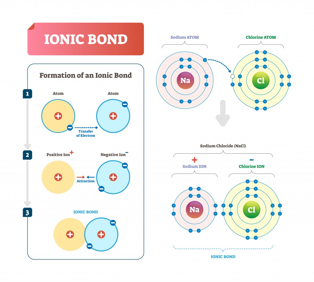 Ionic bond vector illustration. Labeled diagram with formation explanation(VectorMine)s