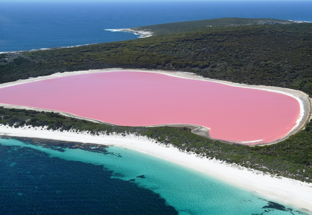 Lake Hillier, Western Australia Amazing pink lake, natural landmark of Australia, in Middle Island, Recherche Archipelago Nature Reserve(matteo_it)s