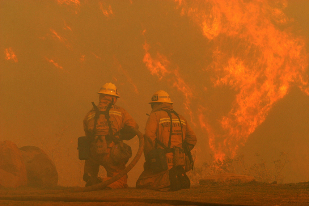 Los Angeles, CaliforniaUSA - Nov 15, 2008 - Los Angeles County firefighters fight the Sayre Fire burning in the Granada Hills section of Los Angeles. - Image(Krista Kennell)s