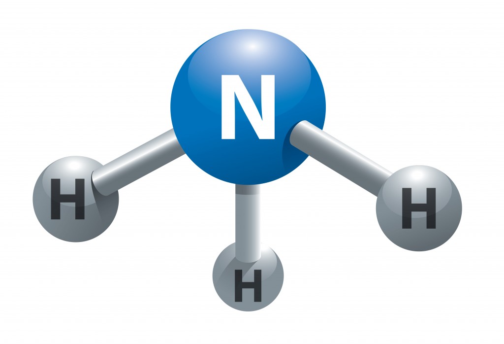 Molecule of ammonia - Vector(NoPainNoGain)s
