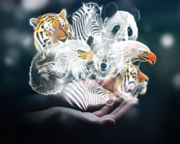 Person holding in his hand fractal endangered animal illustration 3D rendering - Image(sdecoret)s