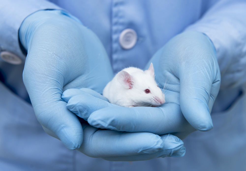 Small experimental mouse is on the laboratory researcher's hand - Image(unoL)s