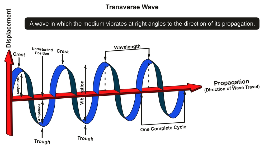 Transverse Wave Infographic Diagram showing structure with displacement and propagation axis with all parts(udaix)s
