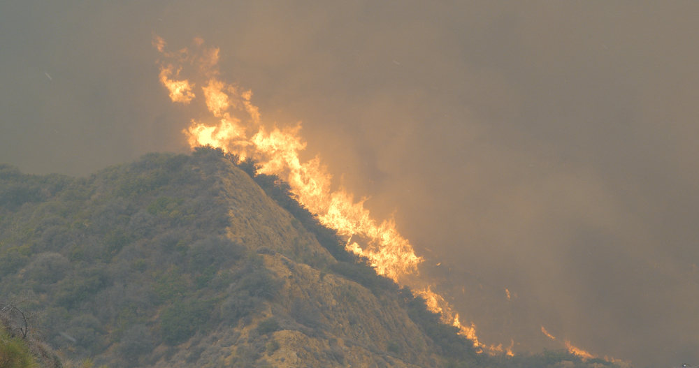 Woolsey Fire 2018 in Malibu California - Image(Morphius Film)s