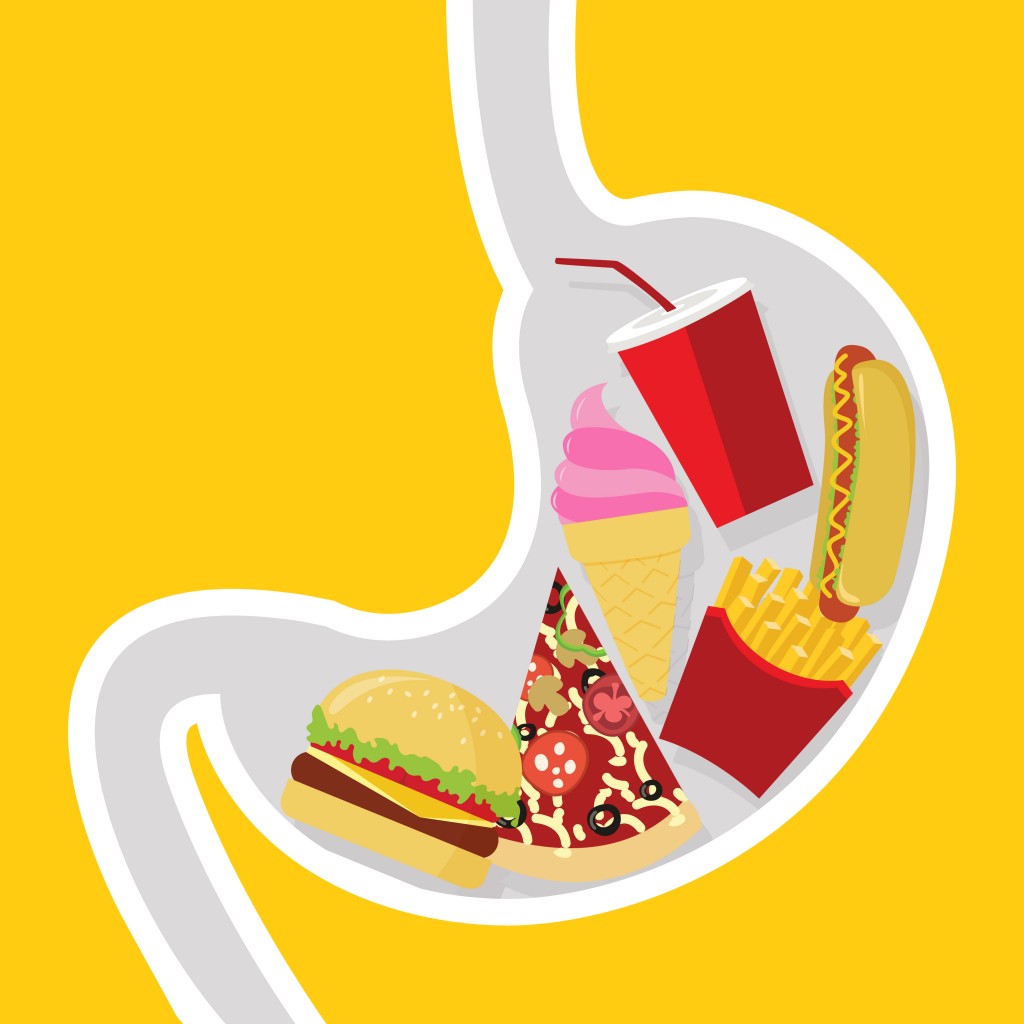 stomach filled full by fast food cartoon vector illustration - Vector(Rhenzy)s
