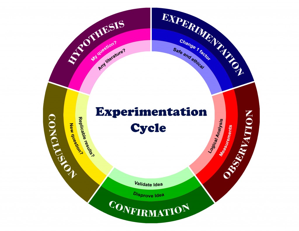 The Cycle of Experimentation