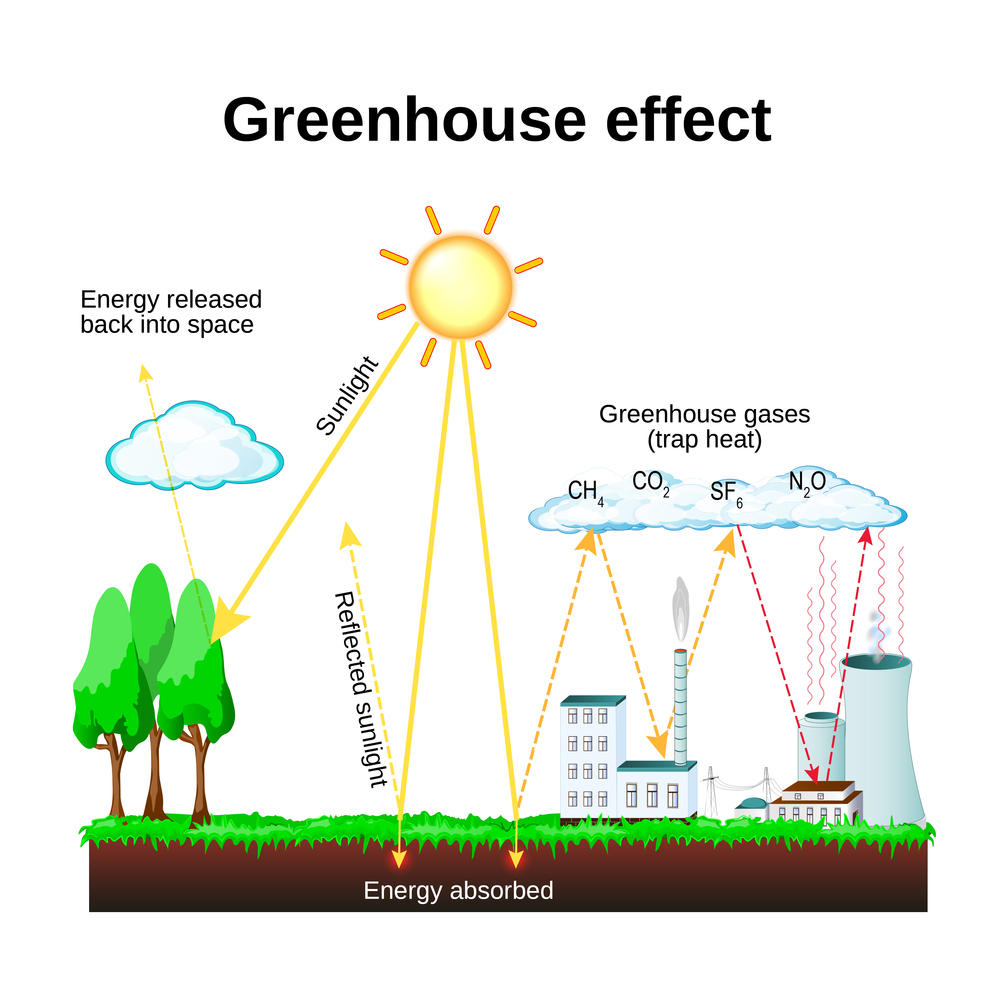 Greenhouse effect. diagram showing how the greenhouse effect works. global warming(Designua)S