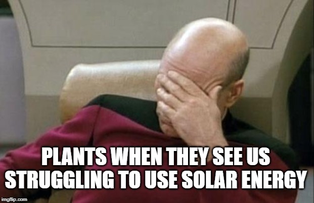 plant when they see us struggling to use solar energy meme