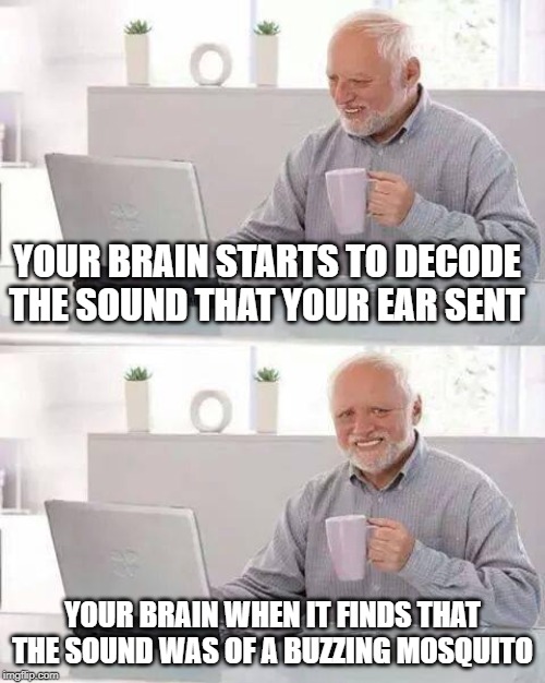 hide the pain harold meme: your brain starts to decode the sound that your ear sent