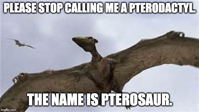 please stop callingme a pterodactyl meme