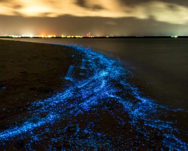 Illumination of plankton at Maldives. Many bright particles at the beach(PawelG Photo)s