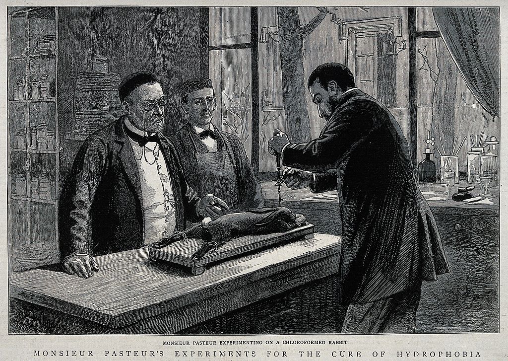 Louis Pasteur injecting rabies virus into a rabbit's brain