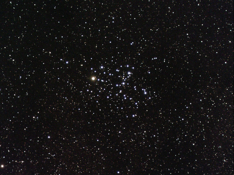 M6 open cluster (NGC 6405)