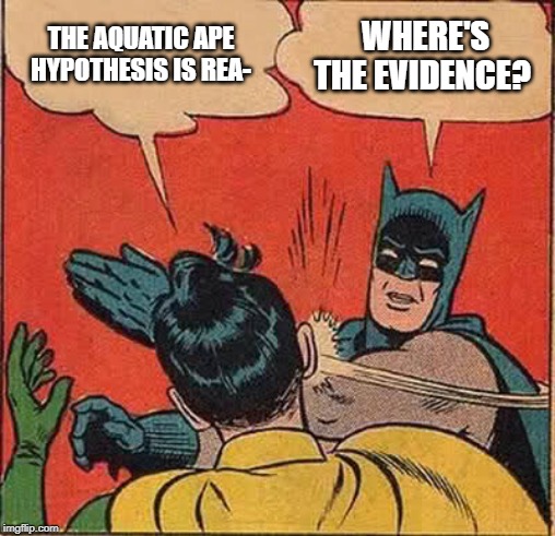 THE AQUATIC APE HYPOTHESIS IS REA WHERE'S THE EVIDENCE