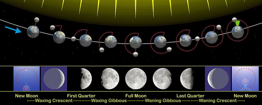 The phases of the Moon as viewed looking southward from the Northern Hemisphere