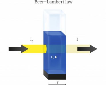 Vector scheme of Beer Lambert law(petrroudny43)1s
