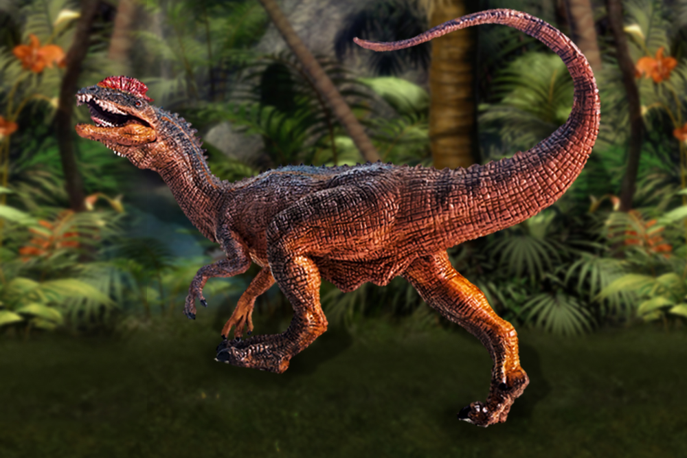 dinosaur , Dilophosaurus(kamomeen)s copy