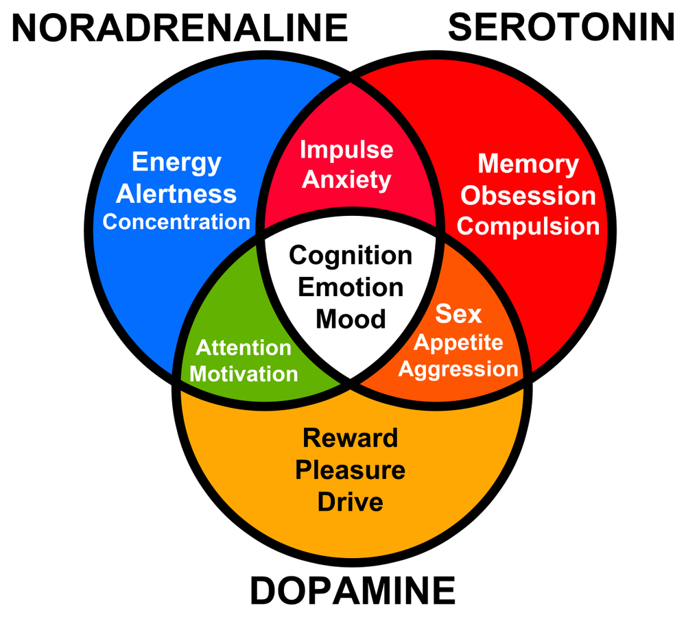 functions of different hormones like serotonin, dopamine and noradrenaline(desdemona72)s