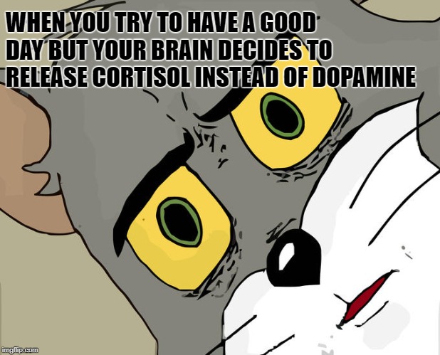 when tou try to habe a good day but your brain decides to reallease cartisol instead of dopamine meme