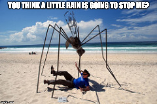 you think a little rain is going to step me meme