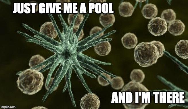 just giv me a pool meme