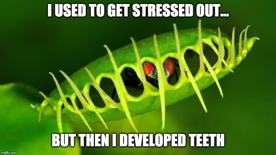 i used to get stressed out meme