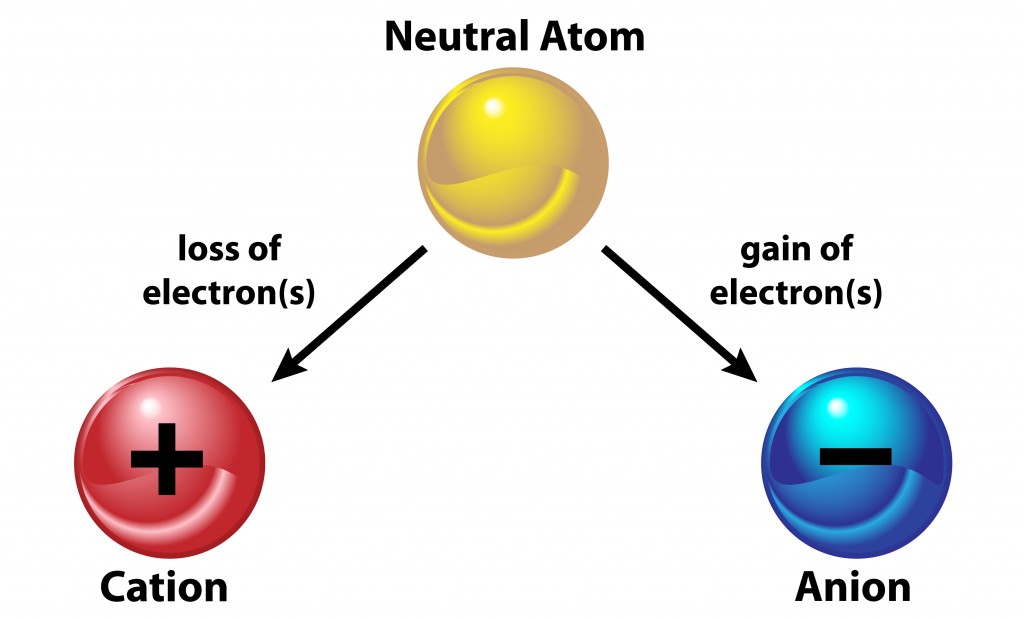 A neutral atom becomes an ion by either losing and electron(OSweetNature)s