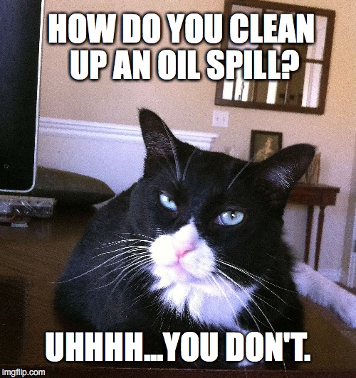 HOW DO YOU CLEAN UP AN OIL SPILL meme