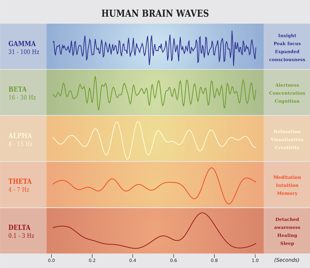 Human Brain Waves Diagram in five Colors(artellia)s