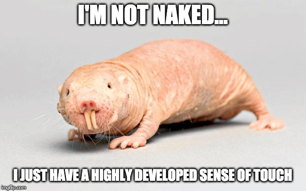 i'm not naked.. meme