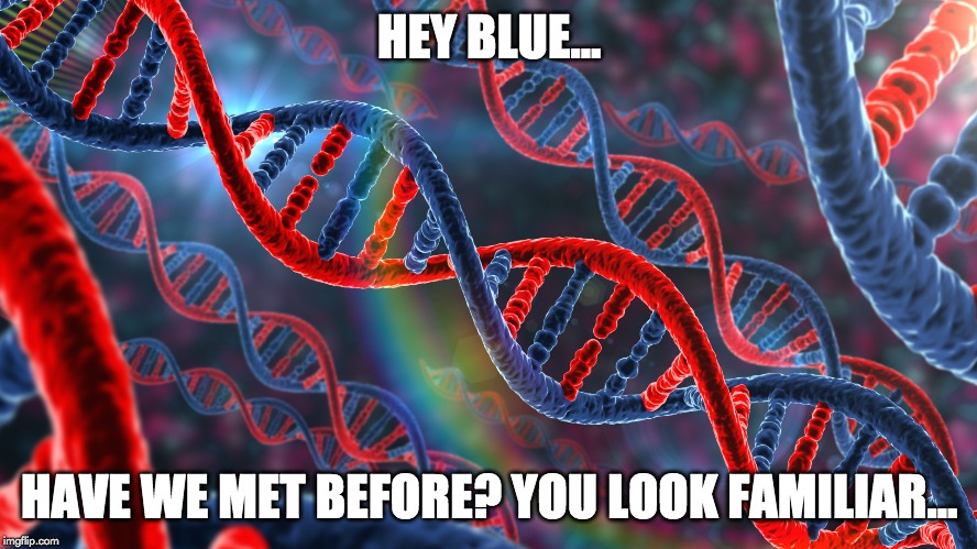 hey blue have we met before meme