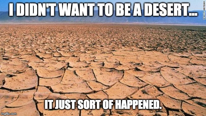 i didn't want to be a desert.. meme