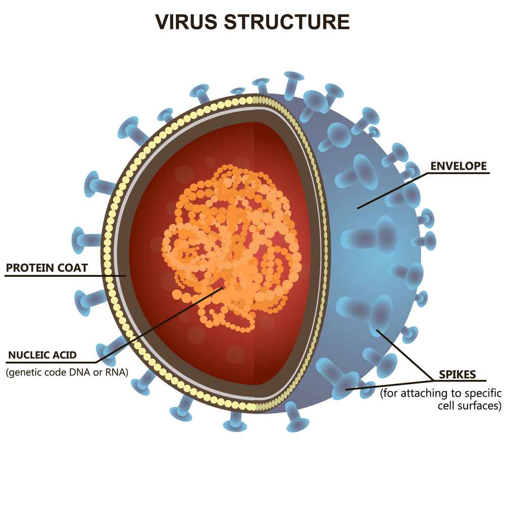Blue virus cells or bacteria on white background(SkyPics Studio)s