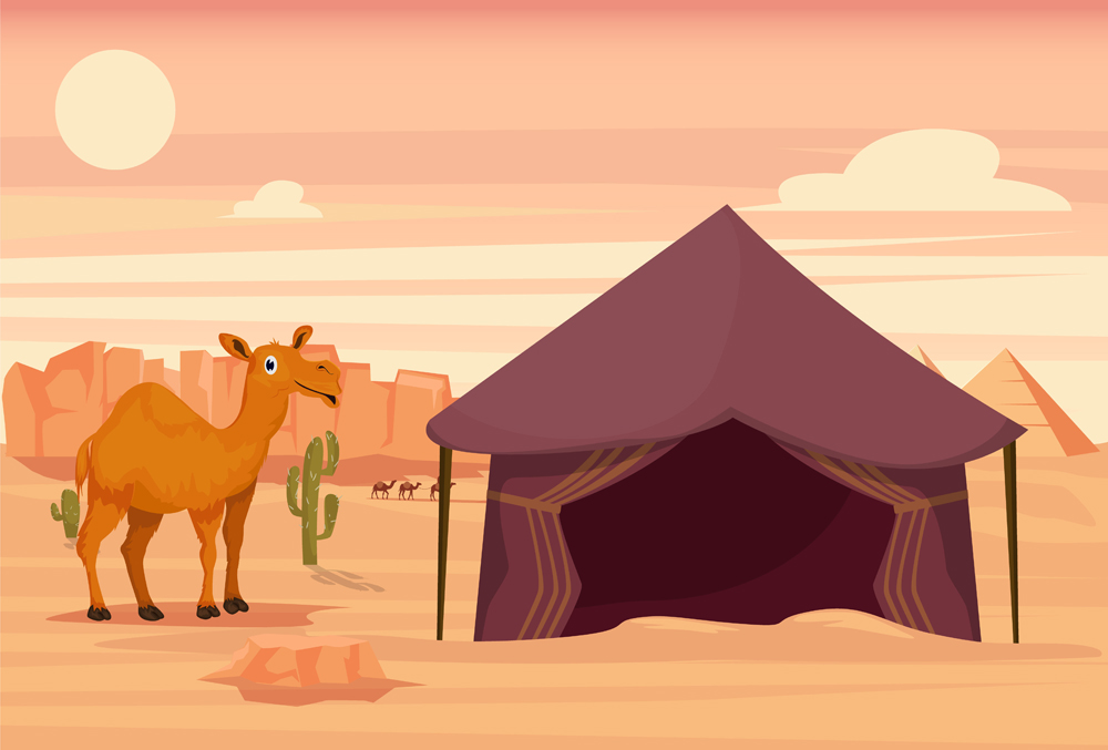 Camel and tent in the desert(Eduard Radu)s