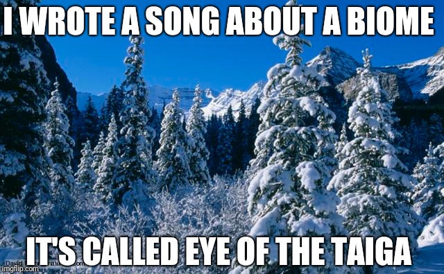 I WROTE A SONG ABOUT A BIOME; IT'S CALLED EYE OF THE TAIGA