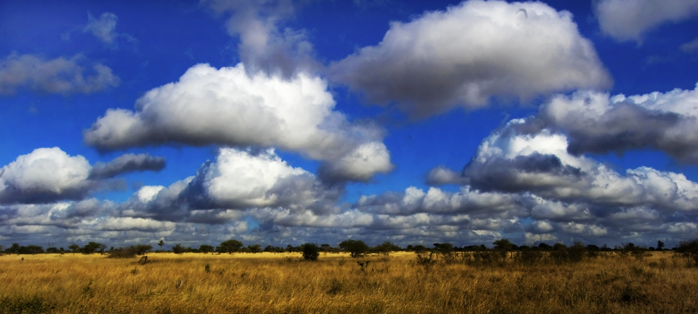 White cloud formations in a bright blue sky over the beautiful African savannah(Cobus Olivier)s