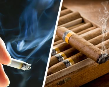 cigar and Cigarette
