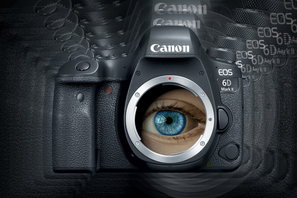 The eye adjusts the light entering in it like the aperture of a camera.