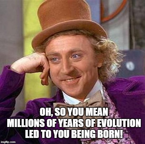 Oh, so you mean millions of years of evolution led to you being born ! meme
