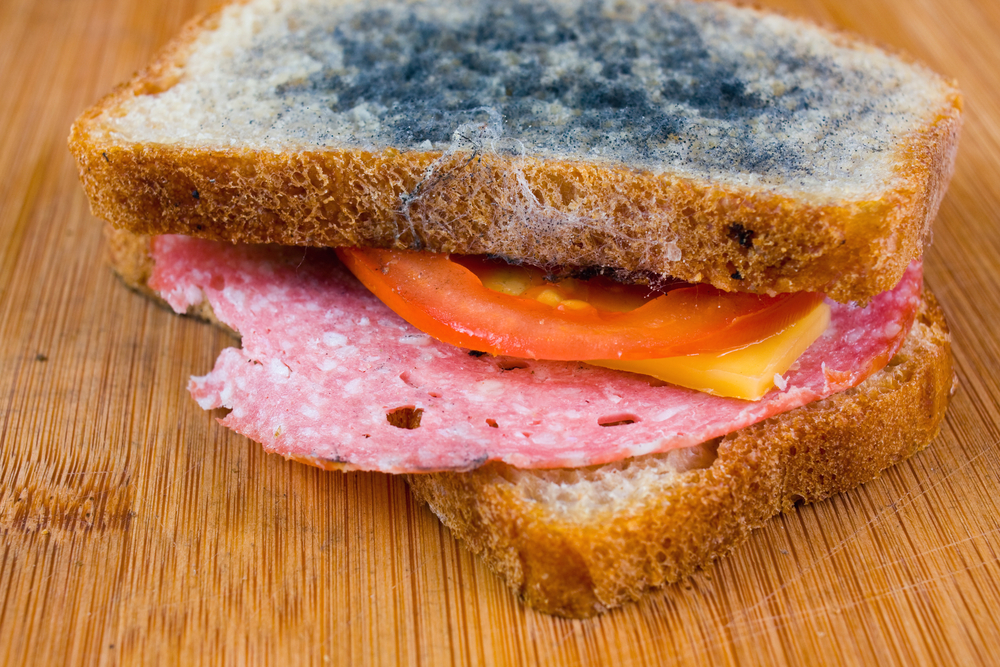 moldy sandwich with salami, tomatoes on a chopping board(Dziewul)S