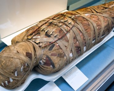 Do Mummies Carry Ancient Pathogens(Jaroslav Moravcik)S