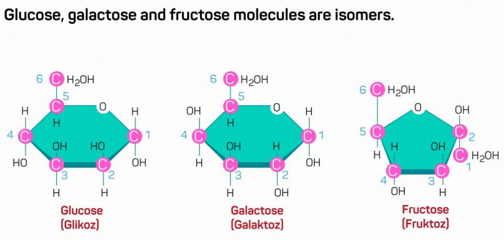 Glucose, galactose and fructose molecules
