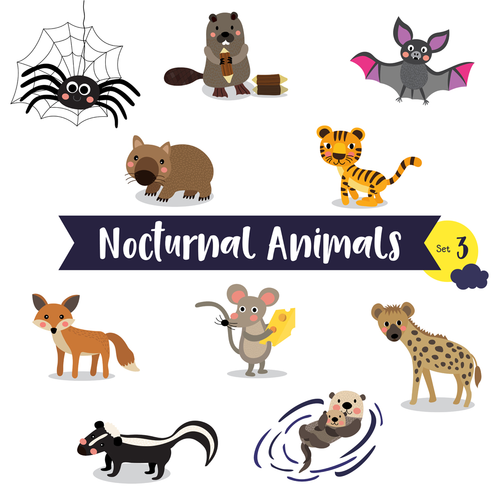 Nocturnal Animals cartoon(natchapohn)S