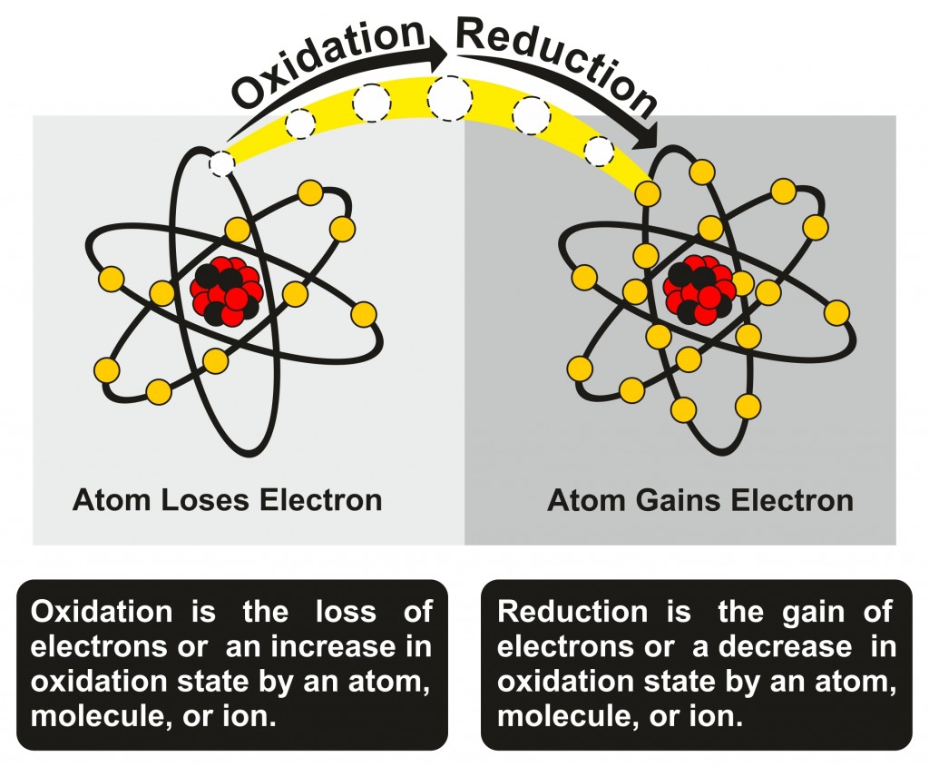 Oxidation and Reduction Process infographic diagram(Inna Bigun)s
