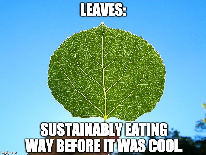 leaves: sustainably eating way before it was cool meme