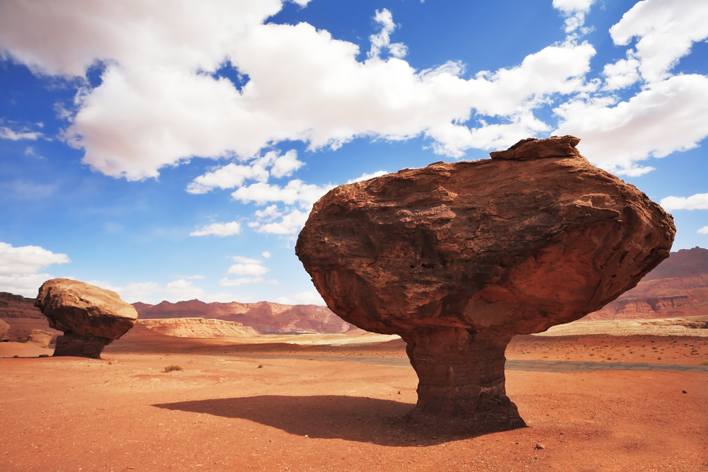 Magnificent American red desert. Huge mushroom from red sandstone(kavram)s