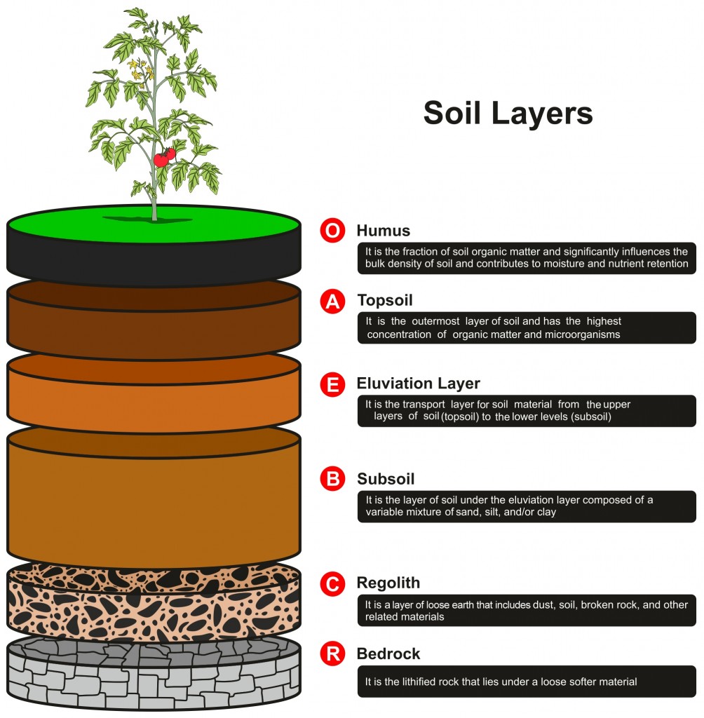 Soil Layers(udaix)S